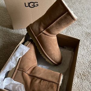 Chestnut short UGGs
